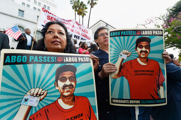 California emitirá licencias de conducir para indocumentados