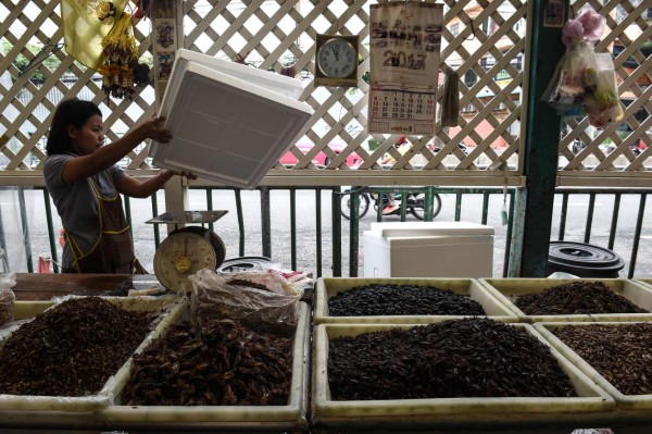 This photo taken on August 17, 2017 shows a woman selling various edible insects in the Klong Toey fresh market in Bangkok.Bugs are creeping onto the menu of some of Bangkok's high-end restaurants as the capital's gourmands leap on the latest global food trend with a sustainable agenda. / AFP PHOTO / Lillian SUWANRUMPHA / TO GO WITH Thailand-food-insects-lifestyle, FEATURE by Sippichai KUNNUWONG and Delphine THOUVENOT