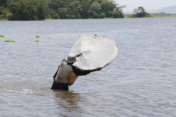 Ejecutan proyecto de rescate de la laguna de Jucutuma