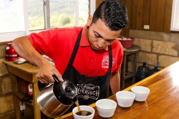 Café cultivado en Siguatepeque figura entre los mejores del mundo