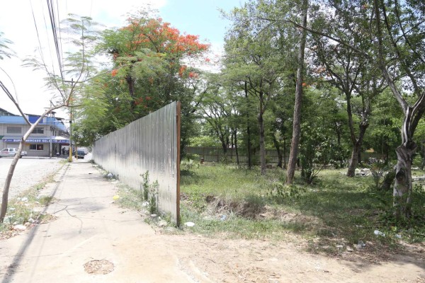 Así luce el predio adonde se construirá el parque Las Palmas.