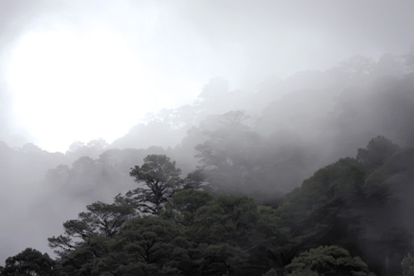 Los secretos de La Tigra