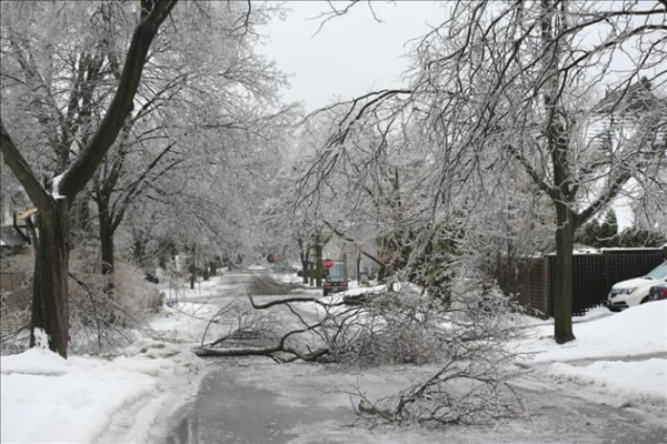 Una gigantesca tormenta de hielo causa el caos en Toronto y el este de Canadá