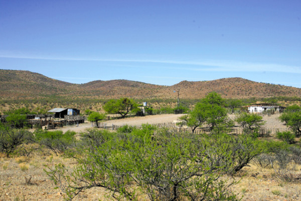 Morir en el desierto, otro calvario de migrantes