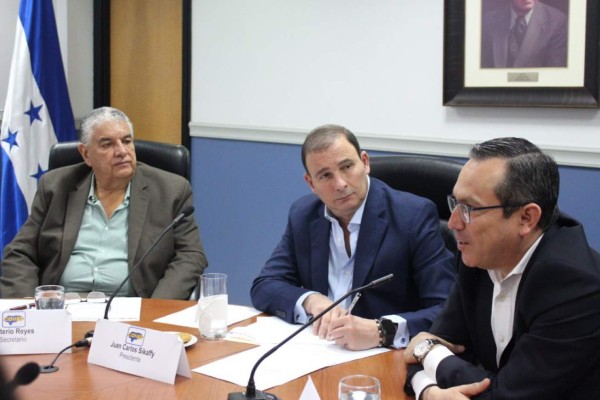 Cohep: 'La recuperacion de la Enee no está en incrementar las tarifas”