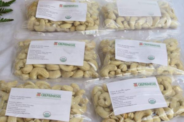 Productores hondureños exportarán marañón a Alemania