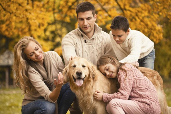 Un perro puede ser un amigo para los padres de los niños con autismo