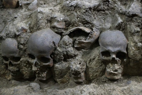 Descubren qué mató a 15 millones de aztecas, 500 años después