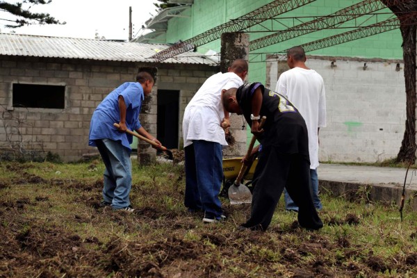 L2,300 millones se despilfarraron en nombre de los niños