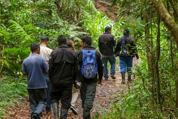 Parque Nacional Cusuco, poseedor de inimaginable belleza natural