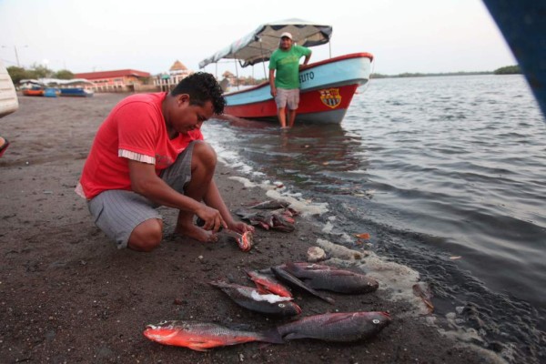 El lugar cuenta con mucho potencial turístico que aún no ha sido explotado.