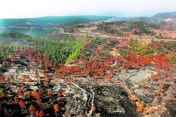 El 95% de incendios en Honduras los inician pirómanos