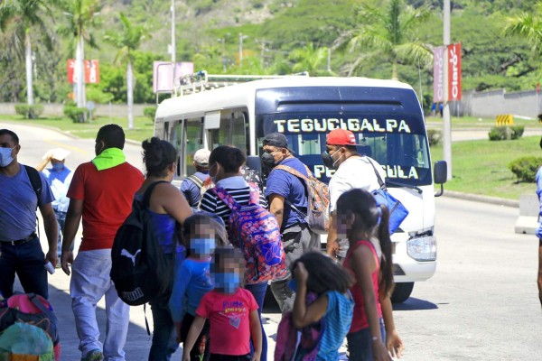 Transporte urbano de San Pedro Sula no participará en pilotaje