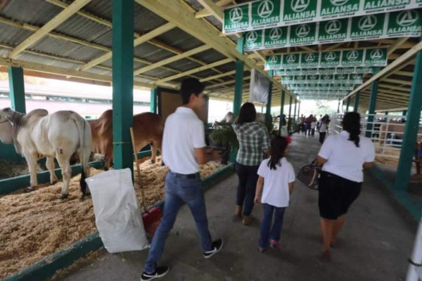 El Agas está lista para recibir a más de 200 mil personas