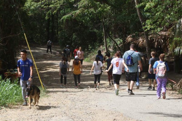 Sendero COCA-COLA: Ubicado en el corazón de la reserva de El Merendón. Es el sitio preferido para hacer ejercicios. Está a 1,450 pies sobre el nivel del mar. El ingreso es gratuito y cuenta con vigilancia. Está abierto de 4:00 am - 7:00 pm todos los días.