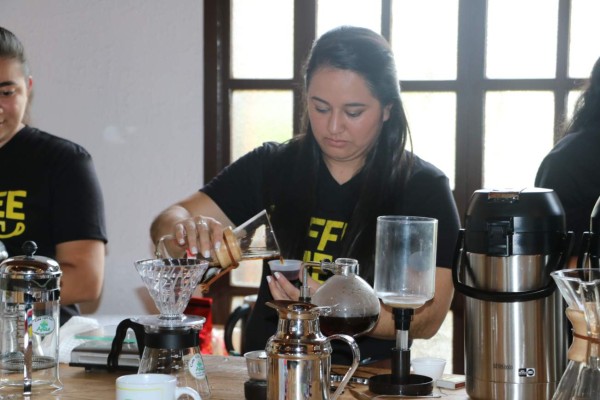 Más de 3.3 millones de quintales de café produce occidente de Honduras