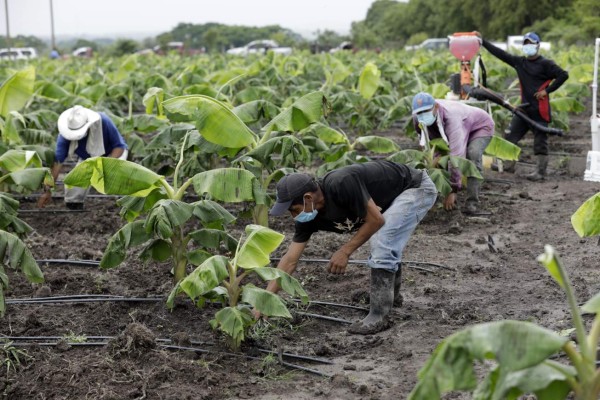 Fenómeno de La Niña podría extenderse hasta enero en Honduras