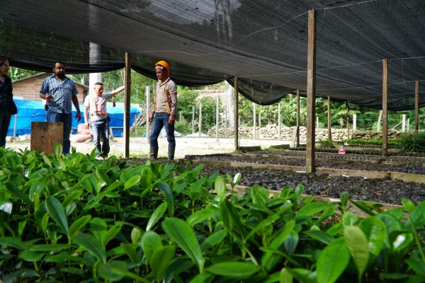 Honduras tiene gran potencial hidroeléctrico