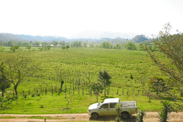 Copán está dividido por asignación de aeródromo