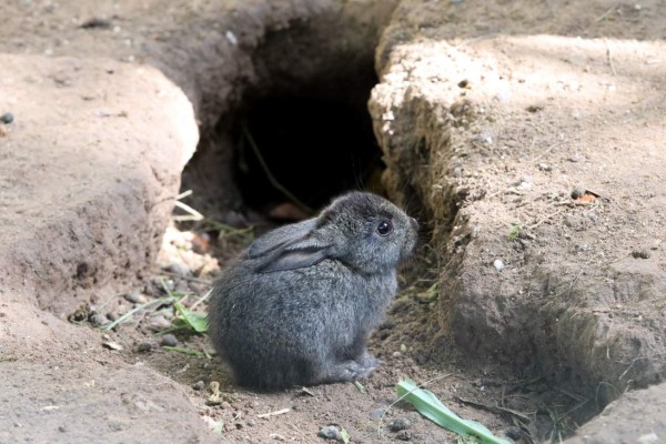 Pimienta, llena de historia y belleza natural