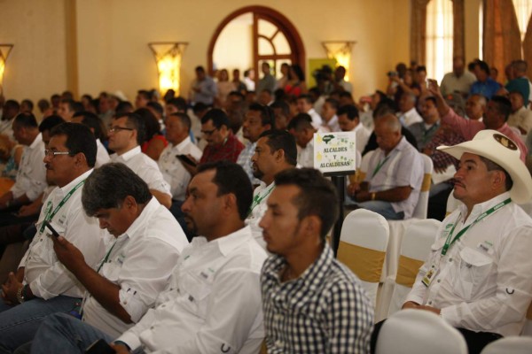 Amhon erogará 77 millones de lempiras en pago de pensiones