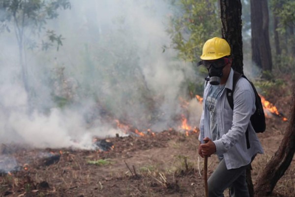 Intentan controlar un incendio en parque nacional Celaque