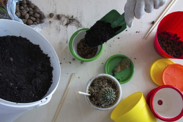 Hand pours the ground in a green pot top view