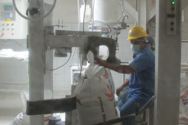 Azucareros de la zona sur esperan buena cosecha