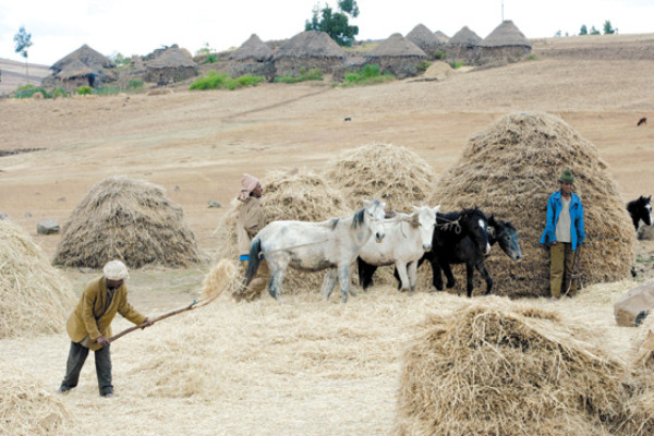Se expande la compra de tierras en toda África