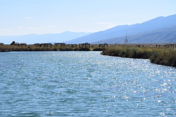Coahuila, desierto bello y fértil