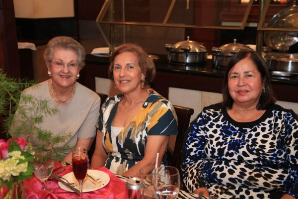 Los 70 años de Rosa Idalia Arias de Gavidia