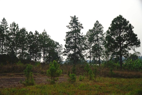 Siguatepeque, más que una ciudad de paso