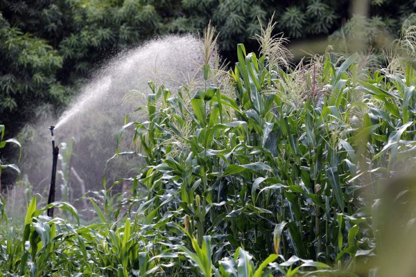 Periodo de lluvias inicia oficialmente del 6 al 10 de mayo