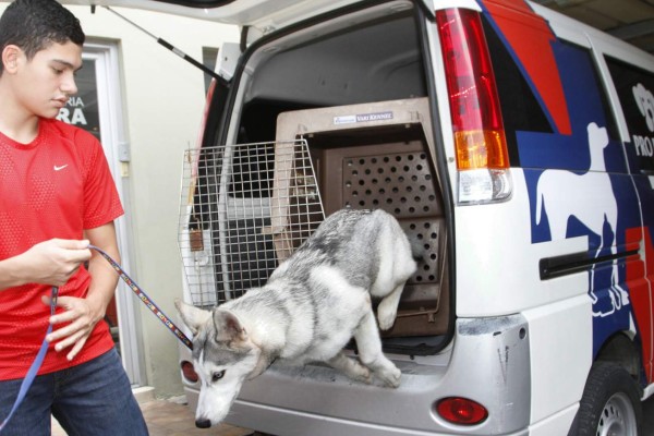 Urge parque de conservación animal en San Pedro Sula