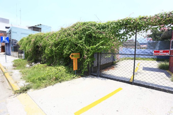 En casi un 40% disminuyen casos de dengue en la Capital Industrial