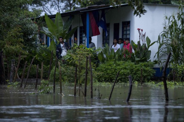 Hallan cocodrilo en una calle de Nicaragua tras paso de Nate