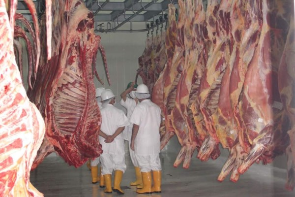 Embargo a Rusia, negocio para AL.