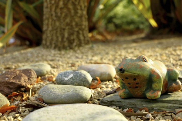 Ranas con pozo y hongos, marcan tendencia en las decoraciones para jardín