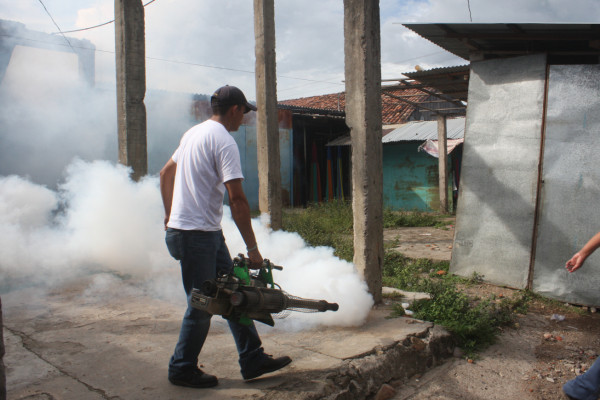 Autoridades de Salud certifican 27 muertos por dengue en Honduras