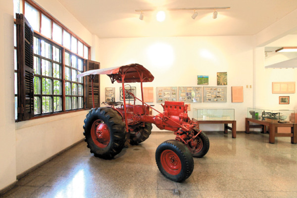 La vasija de Guatucanola