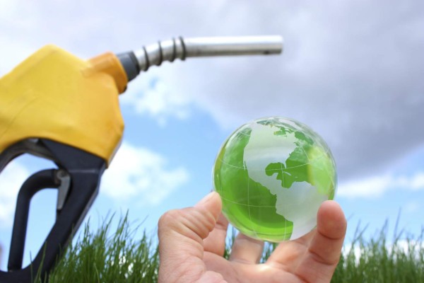 Honduras avanza en la generación de biocombustibles