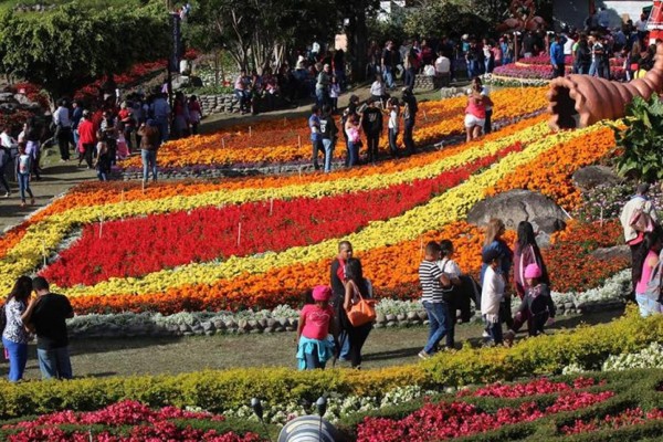 Un jardín multicolor en las Tierras Altas de Panamá atrae a miles de turistas