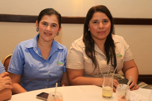 Supermercado La Colonia lanza las vajillas Bellagio