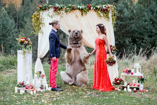 Oso es testigo de una boda