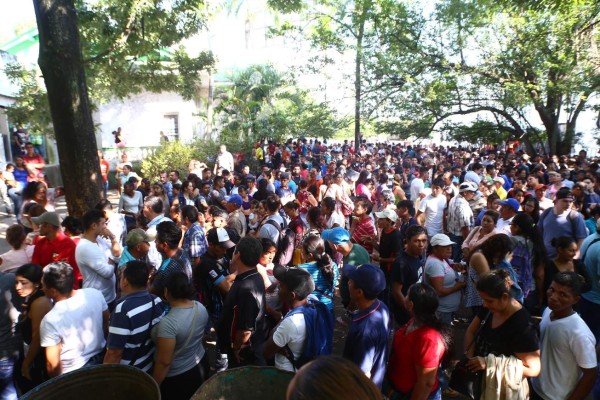 Registro no se da abasto en la entrega de tarjetas de identidad