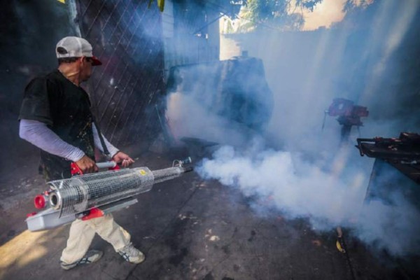 Se reducen las cifras de enfermos de dengue y chikungunya