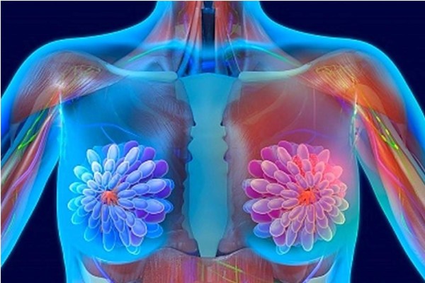 Los implantes de senos encabezan la lista de las cirugías plásticas