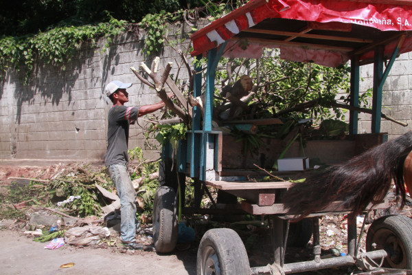 Sampedranos viven 'atrapados” por la basura