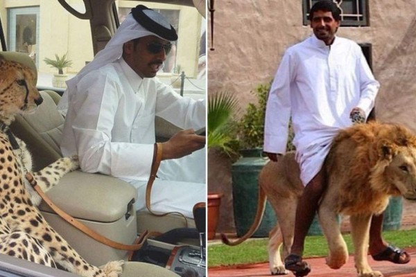 Entre el oro y las mascotas, los millonarios y sus excentricidades