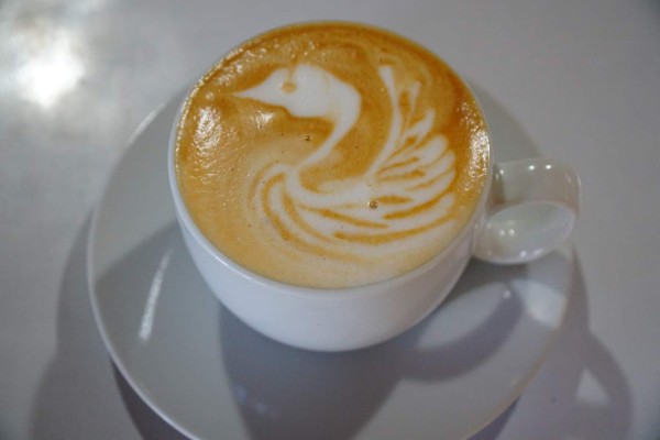 ¡Aventura en Santa Rosa! cuna del buen café y clima exquisito